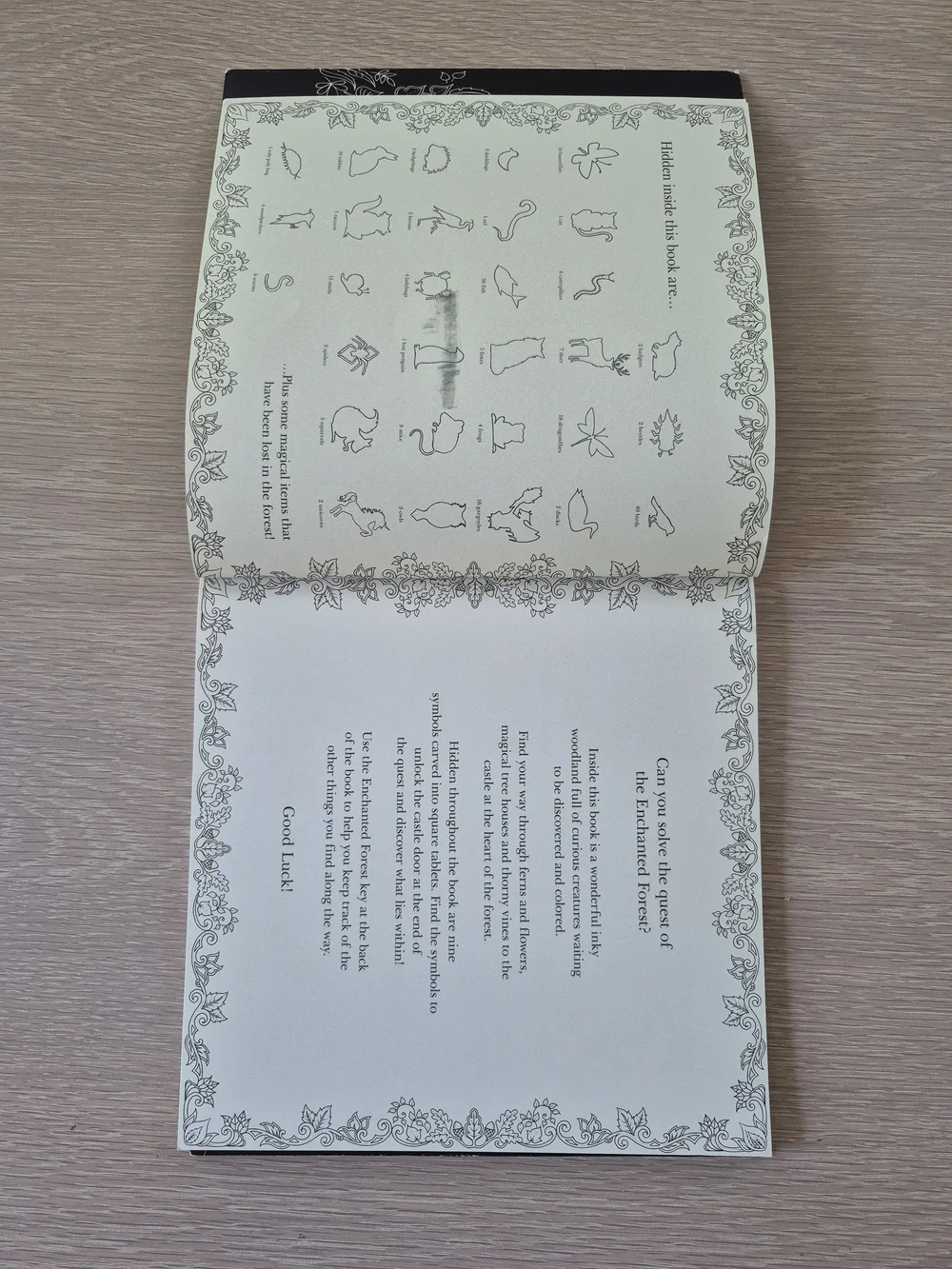 Enchanted Forest Coloring Book by — Cream & Gold